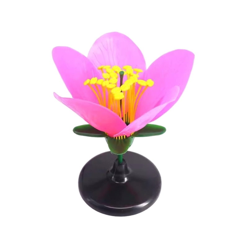 K9FC Realistic Plant Teaching  - Science Exhibition Models avis et prix