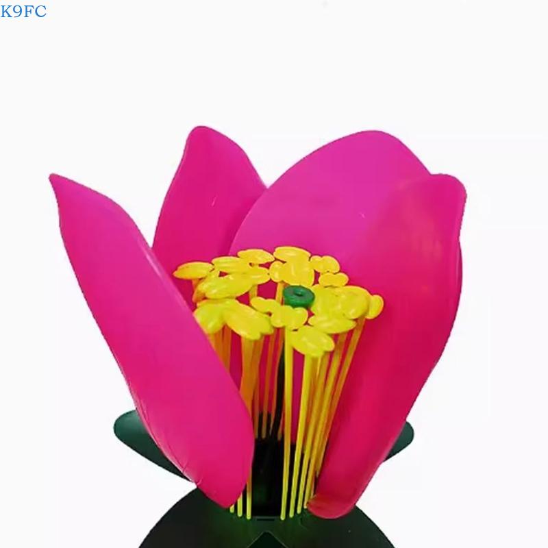 K9FC Realistic Plant Teaching  - Science Exhibition Models avis et prix