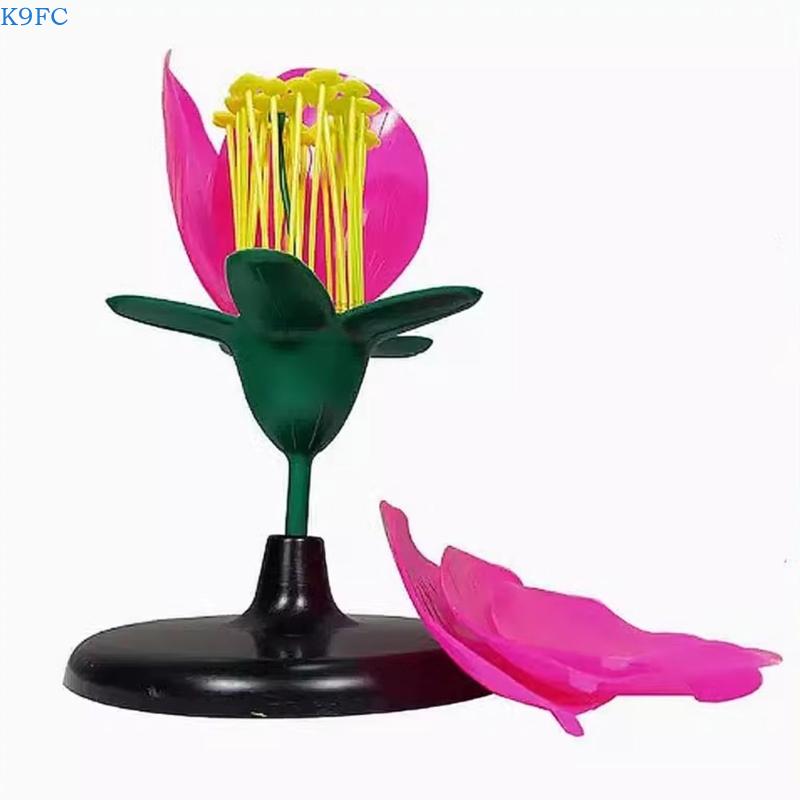 K9FC Realistic Plant Teaching  - Science Exhibition Models avis et prix