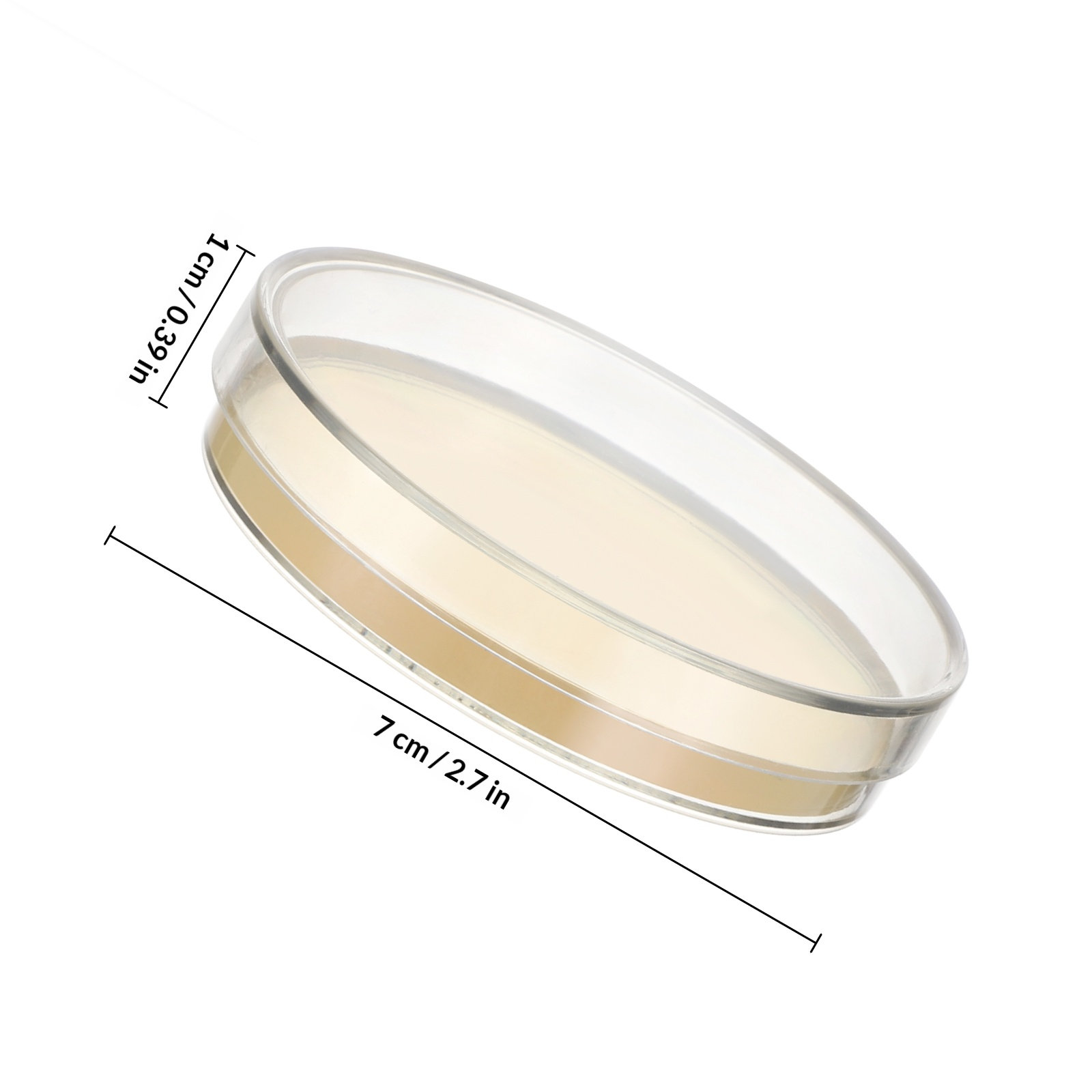 Agar Plates 10pcs Ready to Use - Science Experiment avis et prix