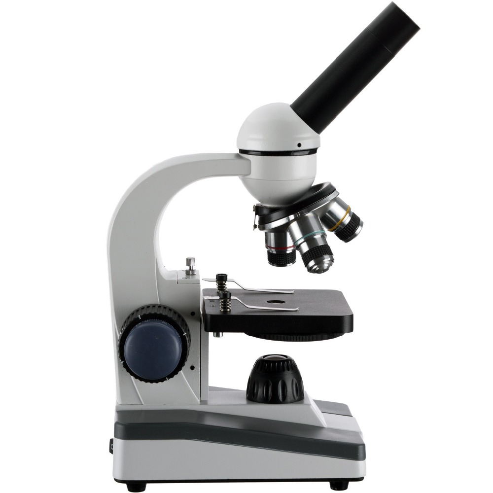 AmScope M150 Series Portable L - Microscope Compound 40X avis et prix