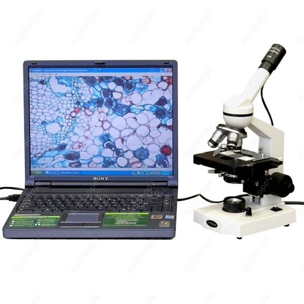 AmScope M600 Series Student Mo - Microscope Compound 40X avis et prix