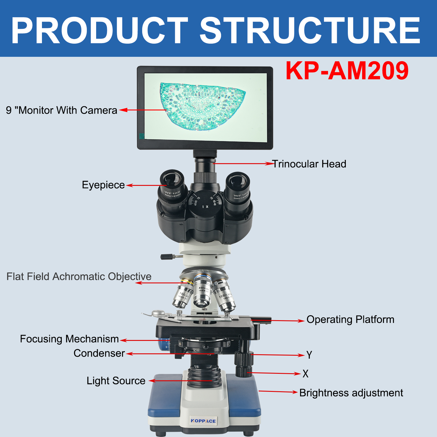 KOPPACE 40X-2500X Electron Com - Microscope Compound 40X avis et prix