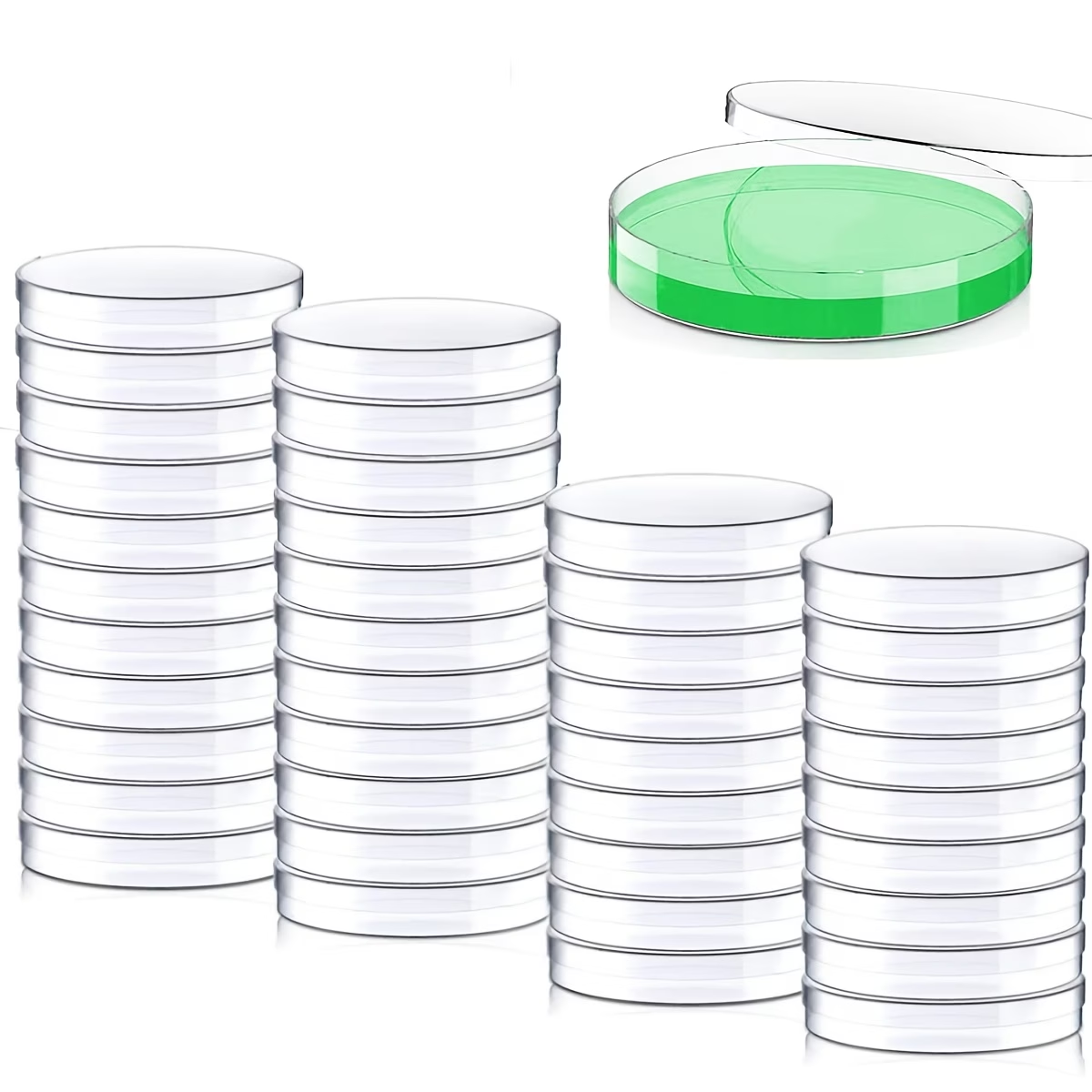 Cost: 20 plastic petri dishes  - Science Experiment avis et prix
