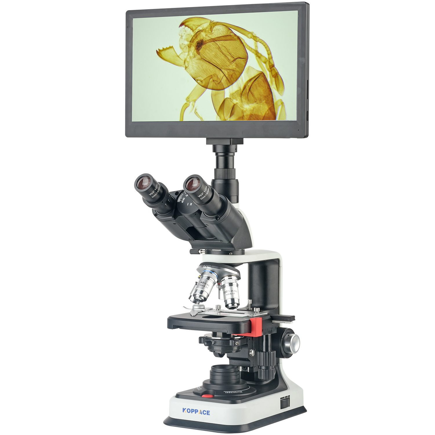 KOPPACE 40X-2500X Electron Com - Microscope Compound 40X avis et prix