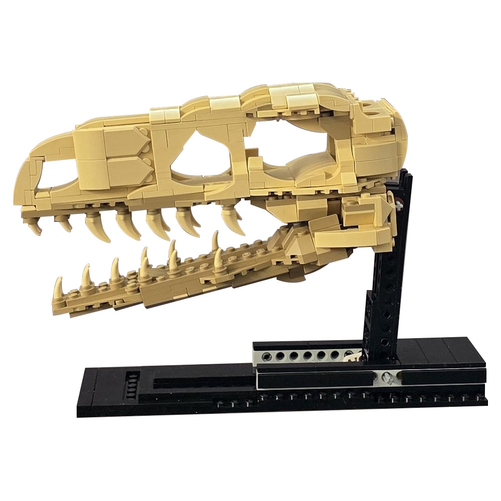MOC Velociraptor Fossil Skull  - Fossil Replica Display avis et prix