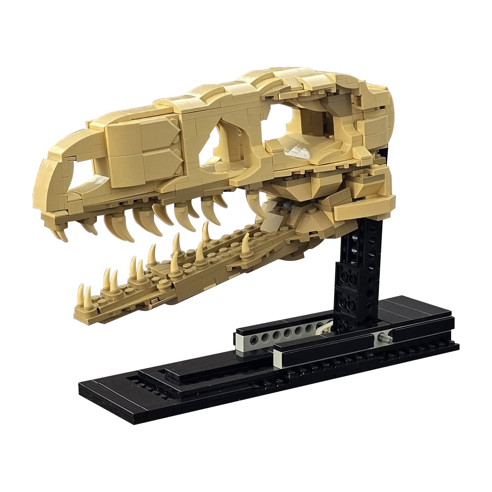 MOC Velociraptor Fossil Skull  - Fossil Replica Display avis et prix