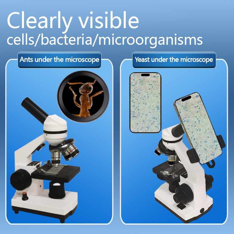 Portable Biological Optical Co - Microscope Compound 40X avis et prix