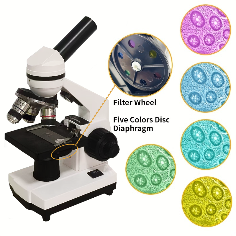 Portable Biological Optical Co - Microscope Compound 40X avis et prix