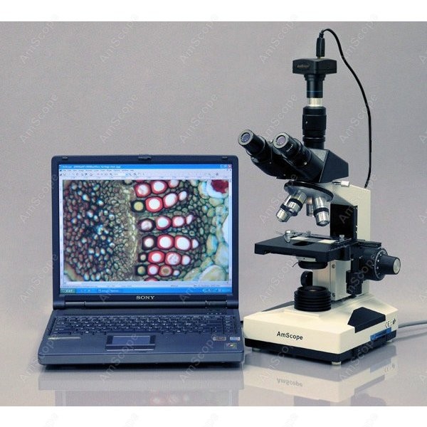 AmScope T490 Series Simul-Foca - Microscope Compound 40X avis et prix