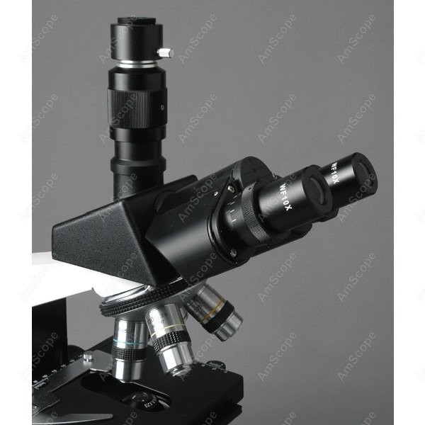 AmScope T490 Series Simul-Foca - Microscope Compound 40X avis et prix