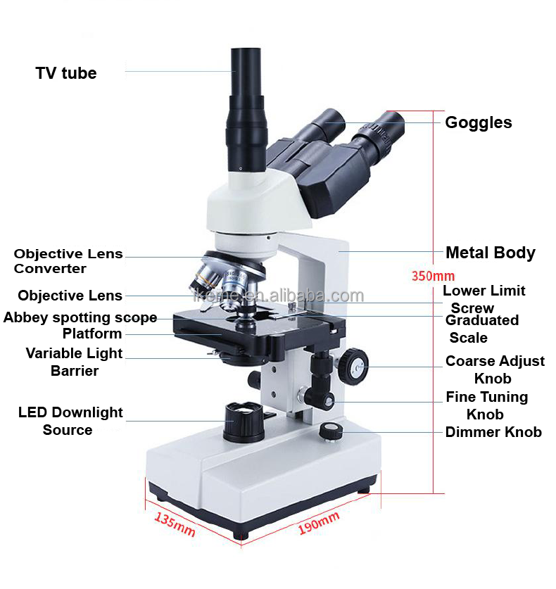 Professional binocular compoun - Microscope Compound 40X avis et prix