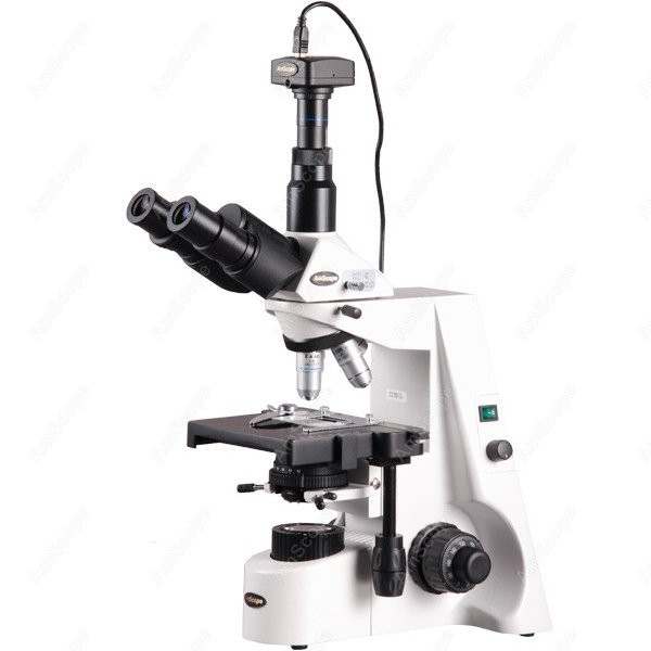 AmScope 40X-2500X Infinity Koh - Microscope Compound 40X avis et prix