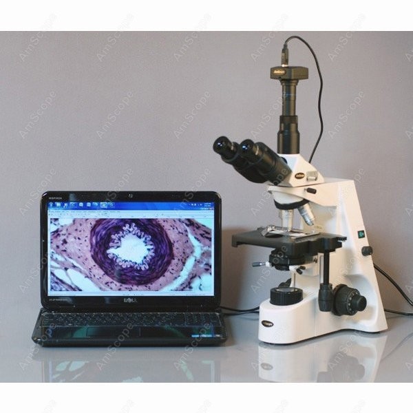 AmScope 40X-2500X Infinity Koh - Microscope Compound 40X avis et prix