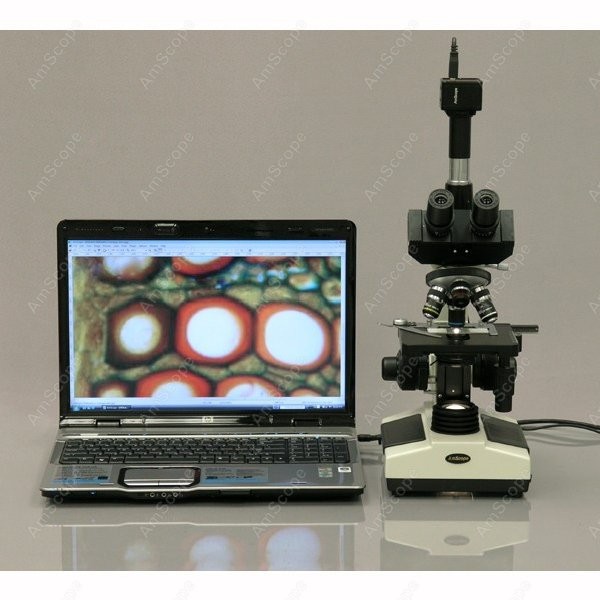 AmScope T390 Series Biological - Microscope Compound 40X avis et prix