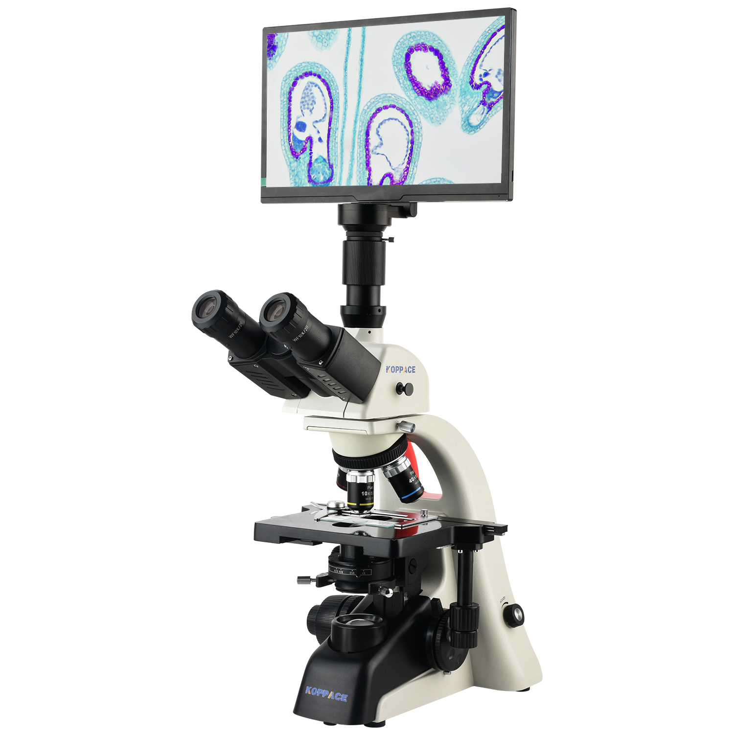 KOPPACE 40X-1600X Electron Com - Microscope Compound 40X avis et prix