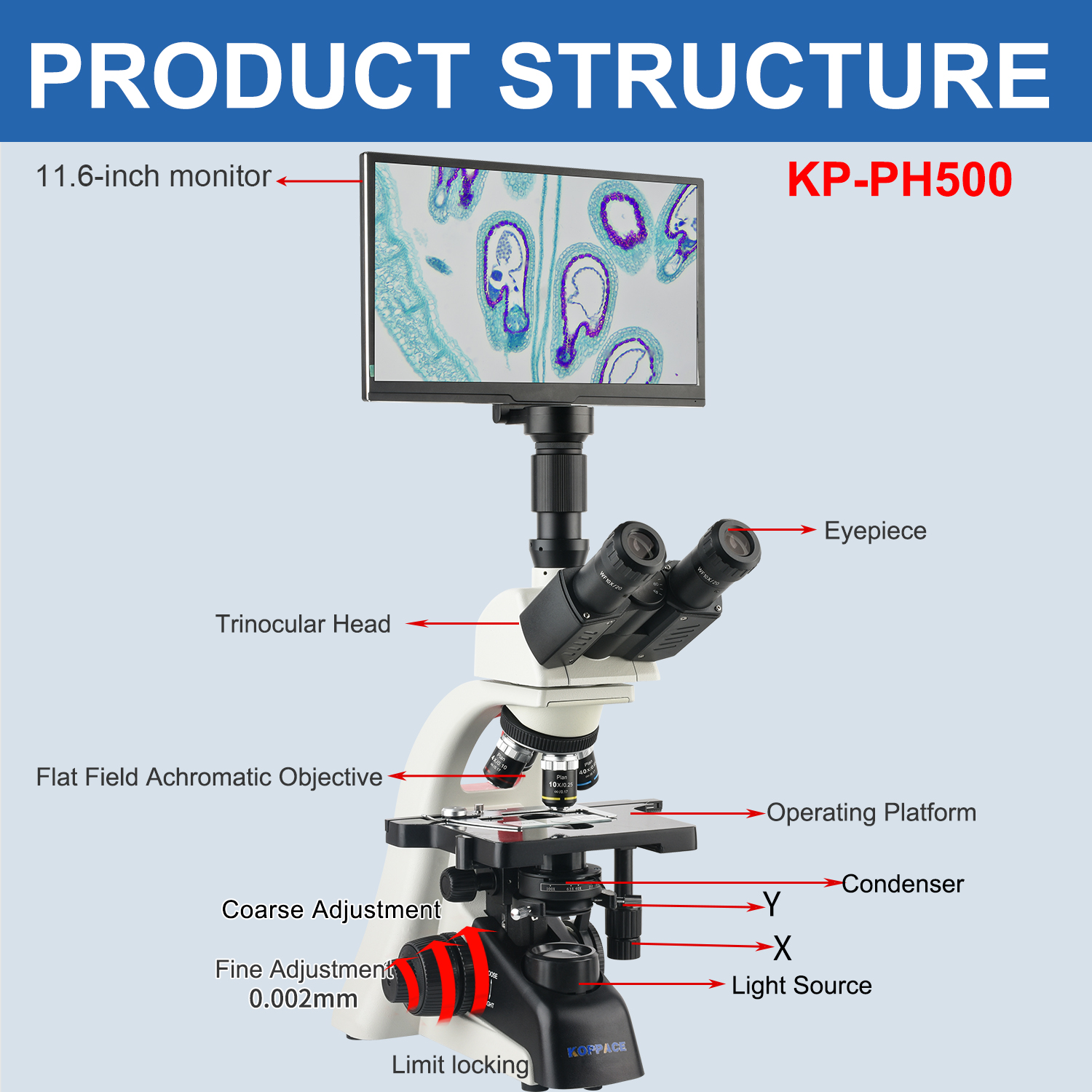 KOPPACE 40X-1600X Electron Com - Microscope Compound 40X avis et prix