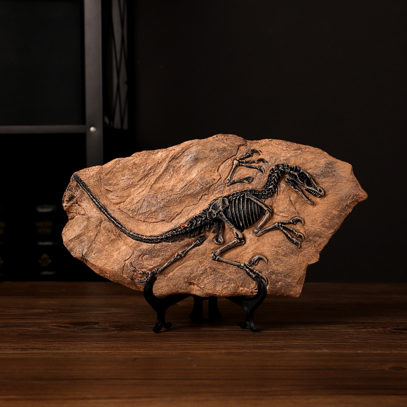 ‌Realistic Dinosaur Fossil Rep - Fossil Replica Display avis et prix