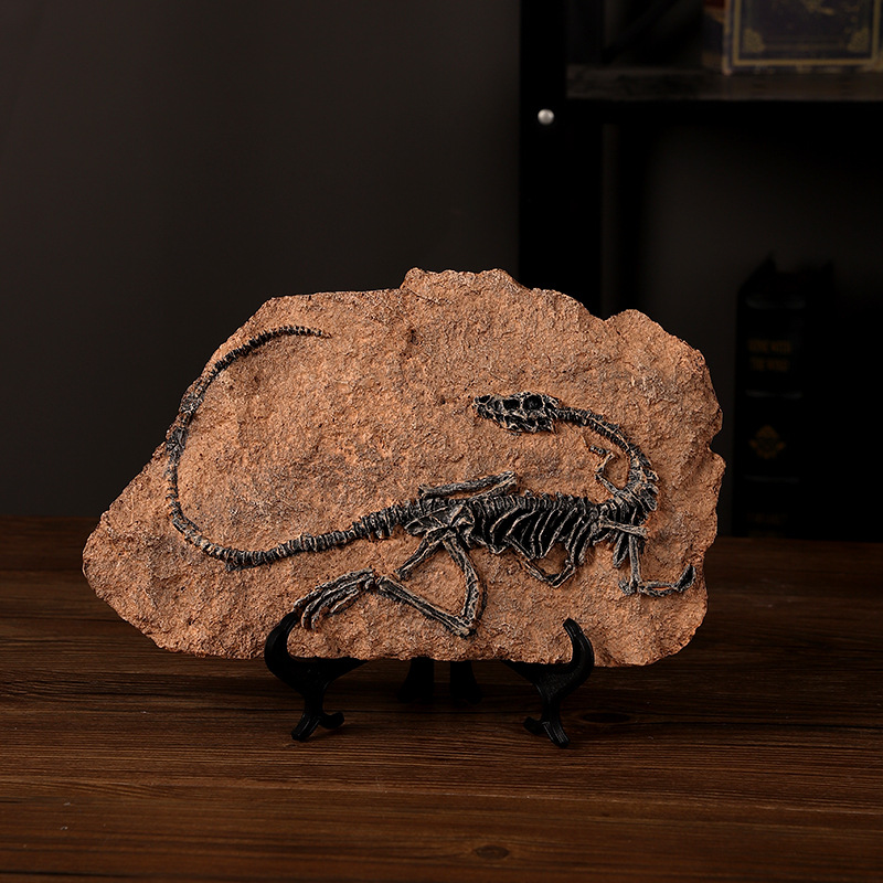 ‌Realistic Dinosaur Fossil Rep - Fossil Replica Display avis et prix