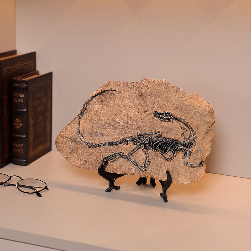 ‌Realistic Dinosaur Fossil Rep - Fossil Replica Display avis et prix