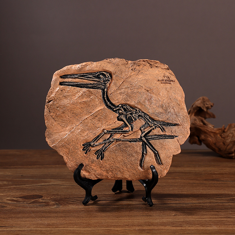 ‌Realistic Dinosaur Fossil Rep - Fossil Replica Display avis et prix