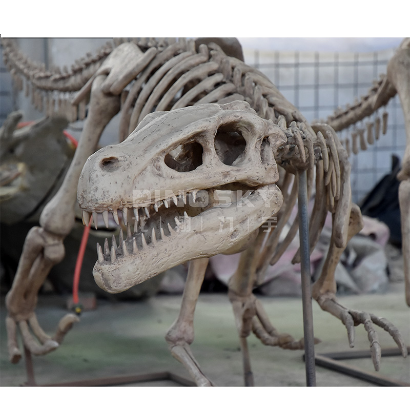 ATV&UTVResin Raptor Skeleton F - Science Exhibition Models avis et prix