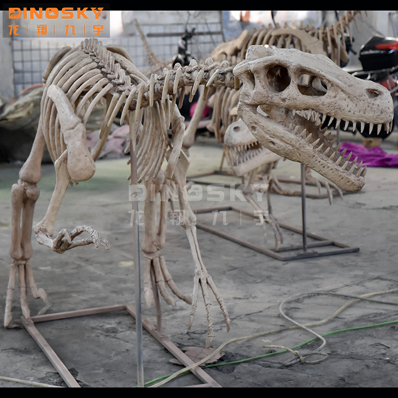 ATV&UTVResin Raptor Skeleton F - Science Exhibition Models avis et prix
