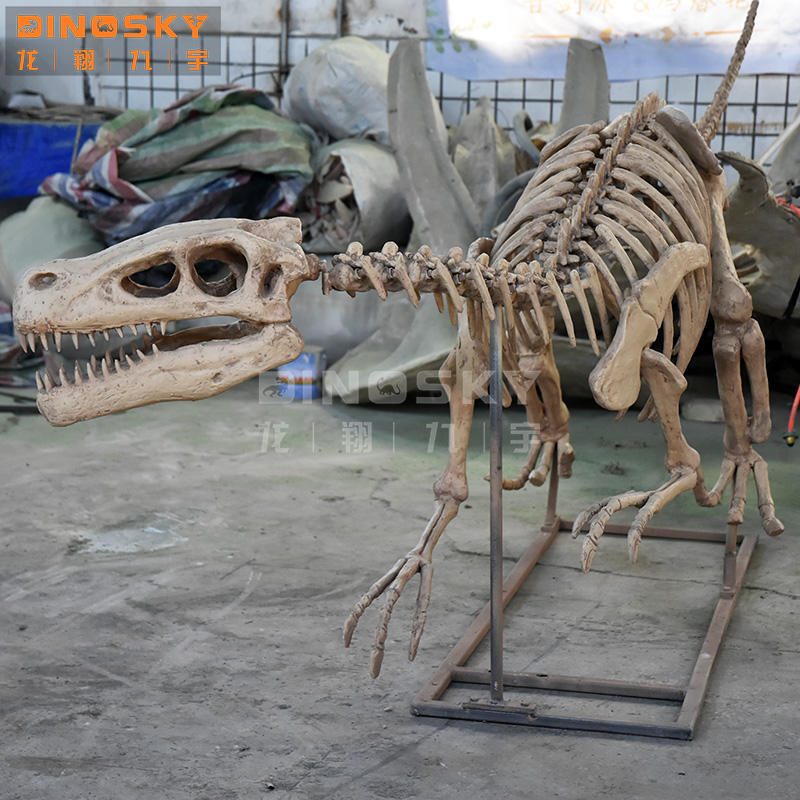 ATV&UTVResin Raptor Skeleton F - Science Exhibition Models avis et prix