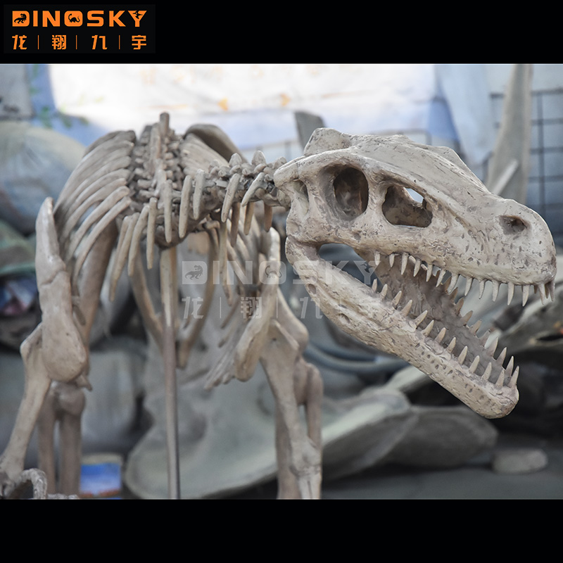 ATV&UTVResin Raptor Skeleton F - Science Exhibition Models avis et prix