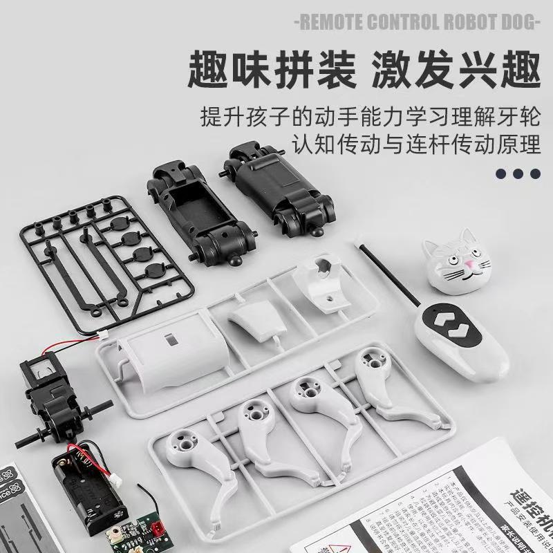 Remote Control Diy Assembly Wa - Is Learning Science A Hobby avis et prix
